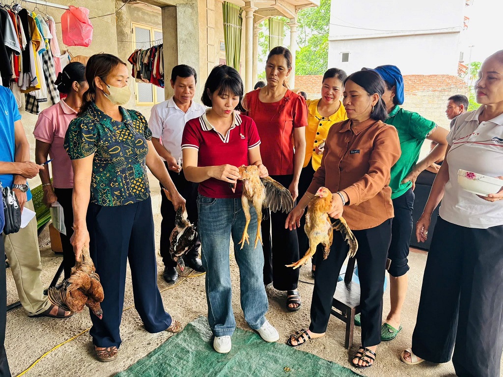 HỘI VIÊN PHỤ NỮ, HỘI VIÊN NÔNG DÂN XÃ BÌNH PHÚ THAM GIA THỰC HÀNH TẠI LỚP ĐÀO TẠO NGHỀ CHĂN NUÔI 