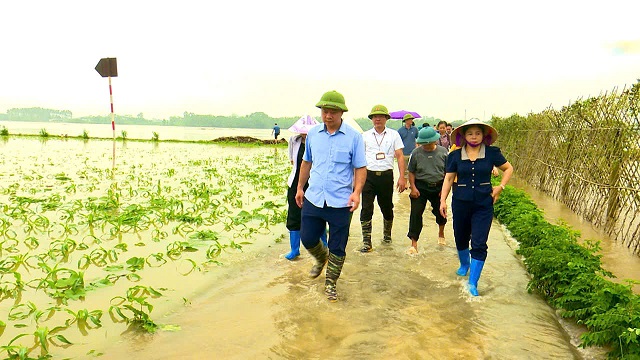 Xã Bình Phú tập trung ứng phó ảnh hưởng bão số 10