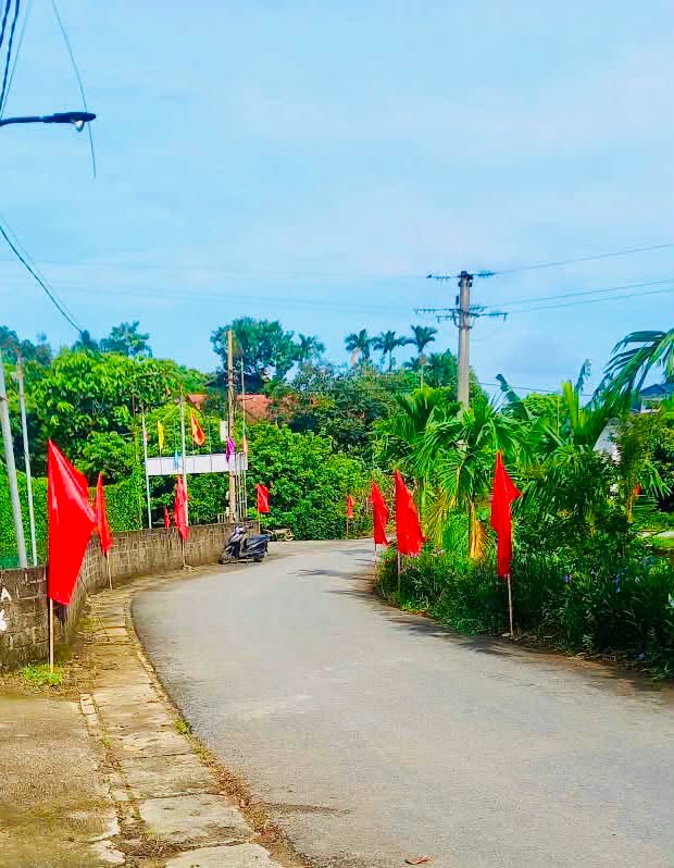 Nhân dân xã Bình Phú treo cờ Tổ quốc, ra quân vệ sinh đường làng, ngõ xóm sạch đẹp chào mừng Quốc khánh.