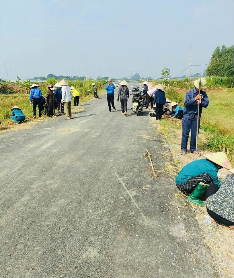 THÔN 3, XÃ BÌNH PHÚ TỔ CHỨC TRỒNG CÂY, CHỈNH TRANG CÁC TUYẾN ĐƯỜNG LÀNG HOA